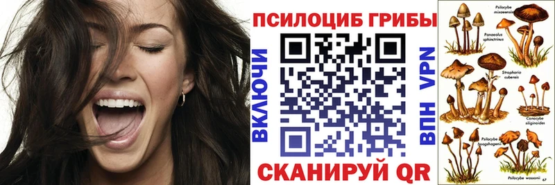 ссылка на мегу как зайти  Лабытнанги  Галлюциногенные грибы Cubensis  цены  